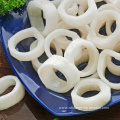 Frozen Giant Squid Rings Price